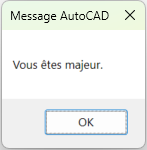 Dialog box displaying "You are an adult."