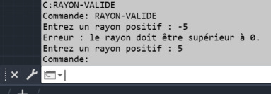 Validation loop with error message then acceptance