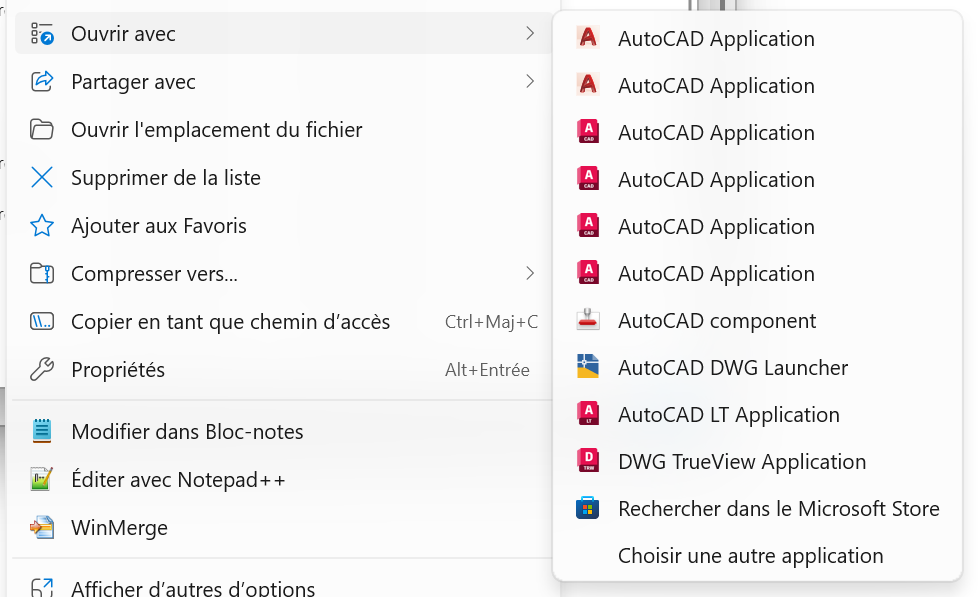 AutoCAD, OK, mais lequel ?
